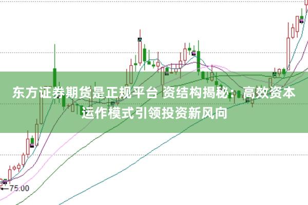 东方证券期货是正规平台 资结构揭秘：高效资本运作模式引领投资新风向