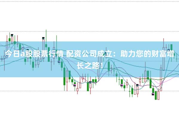 今日a股股票行情 配资公司成立：助力您的财富增长之路！