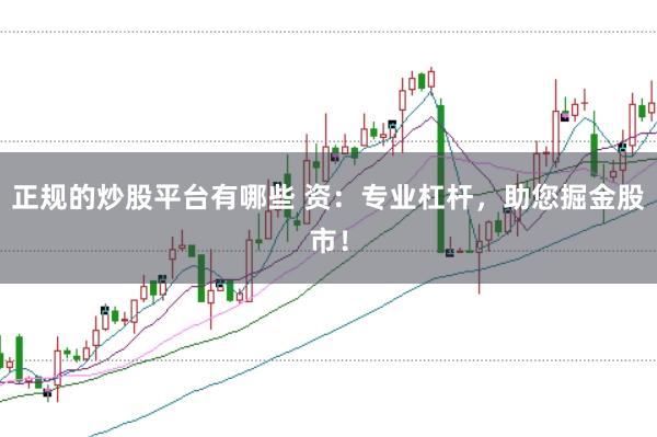 正规的炒股平台有哪些 资：专业杠杆，助您掘金股市！