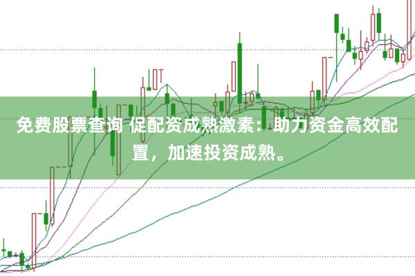 免费股票查询 促配资成熟激素：助力资金高效配置，加速投资成熟。