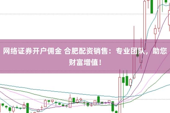 网络证券开户佣金 合肥配资销售：专业团队，助您财富增值！