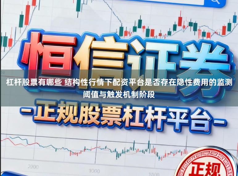 杠杆股票有哪些 结构性行情下配资平台是否存在隐性费用的监测阈值与触发机制阶段