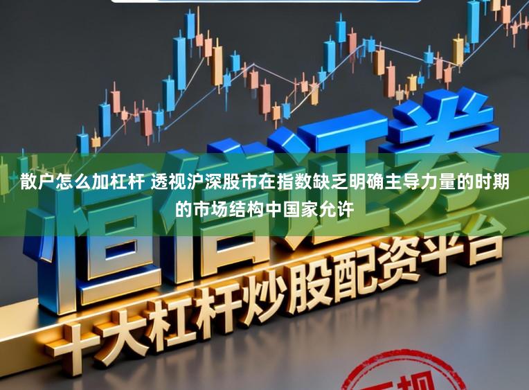 散户怎么加杠杆 透视沪深股市在指数缺乏明确主导力量的时期的市场结构中国家允许
